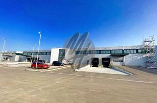 Büro zu mieten in 65428 Rüsselsheim, SCHNELL VERFÜGBAR ✓ RAMPE + EBEN ✓ Lager (3.500 m²) & Büro-/Sozial (500 m²) zu vermieten