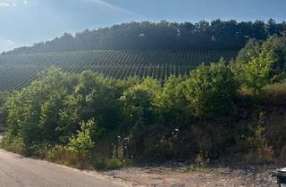 Grundstück zu kaufen in Im Zerren, 76684 Östringen, Großes, unbebautes Grundstück in traumhafter Lage von Östringen-Tiefenbach