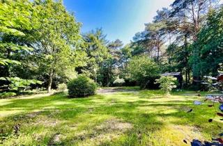 Grundstück zu kaufen in 27628 Wulsbüttel, Entspannen und Erholen: Idyllisches Waldgrundstück