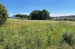 Grundstück zu kaufen in 93133 Burglengenfeld, Ruhige Sackgassenlage - Baugrundstück in Top-Lage von Burglengenfeld