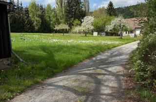 Grundstück zu kaufen in 02689 Sohland, Idyllisches Grundstück im Grünen