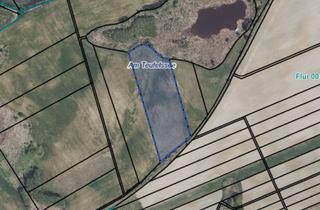 Grundstück zu kaufen in Müncheberg Ot Trebnitz, 15374 Müncheberg, Landwirtschaftsfläche in Trebnitz-Brandenburg