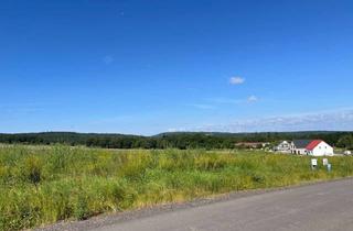 Grundstück zu kaufen in Theodor-Ritterspach-Straße 22, 67292 Kirchheimbolanden, Ihr Traum vom Eigenheim – in Kirchheimbolanden verwirklichen!