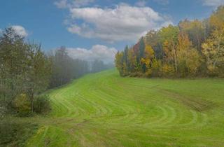 Gewerbeimmobilie kaufen in 94149 Kößlarn, Landwirtschaftliche Wiesenfläche auf mehr als 4,5 ha erweiterbar