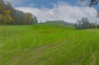 Gewerbeimmobilie kaufen in 94149 Kößlarn, Landwirtschaftliche Wiesenfläche auf mehr als 4,5 ha erweiterbar