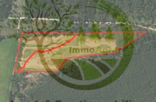 Gewerbeimmobilie mieten in 06901 Kemberg, Verpachte 2,20 ha Ackerland in 06901 Selbitz (WB)