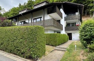 Wohnung mieten in Doktor-Neumeyer-Straße 227, 91349 Egloffstein, Neu renovierte Wohnung mit großem Balkon und tollen Ausblick