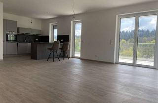 Wohnung mieten in Am Warmfreibad, 67663 Innenstadt, ****Exklusive Penthaus-Wohnung****