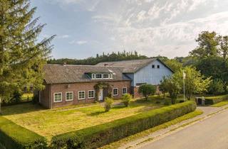 Haus kaufen in 24392 Boren, Ehemalige Hofstelle in Schleinähe mit Entwicklungspotential - 17 genehmigte Ferienwohnungen möglich