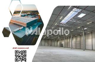 Gewerbeimmobilie mieten in 55232 Alzey, Moderne Logistikfläche | Bis zu 5.000 m² | Teilbar ab 2.000 m² | ab sofort verfügbar