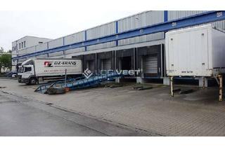 Gewerbeimmobilie mieten in 04774 Dahlen, Logistikhalle mit mehreren Rampen zur Miete!