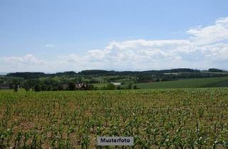 Grundstück zu kaufen in 54550 Daun, Landwirtschaftsflächen