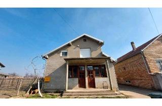 Haus kaufen in 74172 Neckarsulm, Neckarsulm - 303m2 Wohnhaus