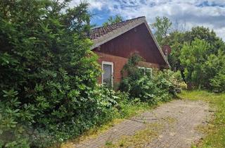 Einfamilienhaus kaufen in 21039 Börnsen, Börnsen - Käuferprovisionsfrei: Renovierungsbedürftiges, ebenerdiges Einfamilienhaus mit separatem Baugrundstück in Neu-Börnsen zu verkaufen!