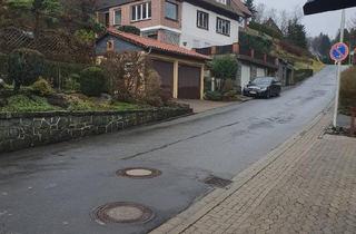 Einfamilienhaus kaufen in 38709 Wildemann, Clausthal-Zellerfeld - Großes Einfamilienhaus mit Ferienvermietung