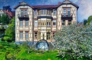 Wohnung kaufen in 38889 Blankenburg (Harz), Ihre noble Villenetage mit Panoramakamin vis á vis vom Welfenschloss !