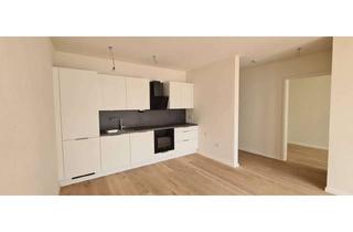 Wohnung mieten in Burgfriedenstraße 42, 85276 Pfaffenhofen, Exklusive 2-Zimmer-Neubauwohnung (58m2) in den Burgfriedenhöfen, Pfaffenhofen a. d. Ilm – Erstbezug