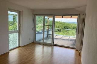 Wohnung mieten in 69251 Gaiberg, Gemütliche Wohnung mit einmaliger Aussicht und Dachterrasse