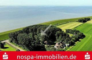 Haus kaufen in 25836 Welt, Großes Zweifamilienhaus unter Reet mit moderner Ausstattung