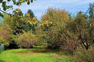 Grundstück zu kaufen in 37276 Meinhard, Idyllisches Gartengrundstück mit Wochenendhaus in Meinhard