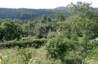 Grundstück zu kaufen in 88696 Owingen, Baugrundstück Bodensee, nahe Überlingen, Ortsrandlage, Panoramaweitblick