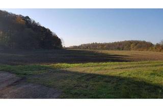 Immobilie kaufen in 96224 Burgkunstadt, Versteigerung einer ca. 2.000 m² großen Landwirtschaftsfläche!