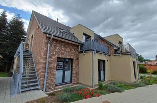 Wohnung mieten in 21481 Schnakenbek, Moderne 2,5-Zimmer Dachgeschosswohnung