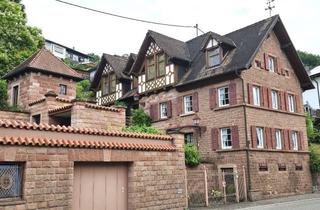 Wohnung mieten in Hauptstraße 43, 67475 Weidenthal, Schöne 2-Zimmer-Terrassenwohnung mit luxuriöser Innenausstattung mit Einbauküche in Weidenthal
