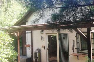 Einfamilienhaus kaufen in Mölschbacher Weg 11, 67705 Trippstadt, Einfamilienhaus in ruhiger Waldrandlage mit großem Grundstück