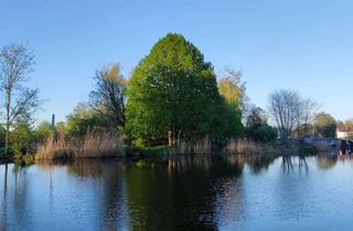 Einfamilienhaus kaufen in 16559 Liebenwalde, Einfamilienhaus + Scheune/Stall mit viel Ruhe und sehr viel Platz