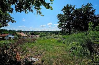 Grundstück zu kaufen in 67705 Trippstadt, Exklusives Baugrundstück mit Panoramablick – Ruhige Wohnlage in Trippstadt-Langensohl