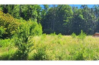 Grundstück zu kaufen in 93186 Pettendorf, Absolute Rarität! Großzügiges Baugrundstück in herrlicher Lage von Pettendorf-Reifenthal