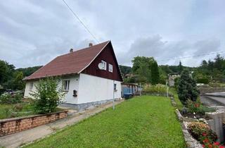 Einfamilienhaus kaufen in 01796 Pirna, Pirna - Haus mit Potenzial in Pirna zu verkaufen.