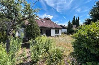 Einfamilienhaus kaufen in 79688 Hausen, Hausen im Wiesental - Haus mit Garten, Einfamilienhaus, Hausen im Wiesental