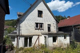 Einfamilienhaus kaufen in 57562 Herdorf, Herdorf - Entkerntes Einfamilienhaus (Doppelhaushälfte) Stellplatz Garten
