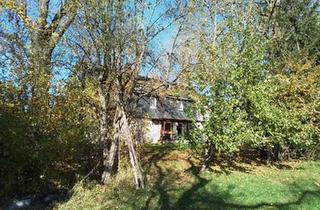 Bauernhaus kaufen in 07927 Hirschberg, Hirschberg - Haus mit Grundstück