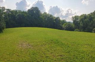 Einfamilienhaus kaufen in 74405 Gaildorf, Gaildorf - Idyllisches Haus in Einzellage mit 15.000m2 Grund