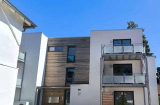 Wohnung kaufen in 29221 Celle, 3-Zimmer Eigentumswohnung in Celle kaufen – Neubau 2023, barrierefrei, KfW 55, mit Loggia, Balkon &