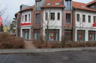 Wohnung mieten in Straße Der Jugend 24, 14974 Ludwigsfelde, Smarte 1 Zimmer Dachgeschosswohnung zu sofort frei