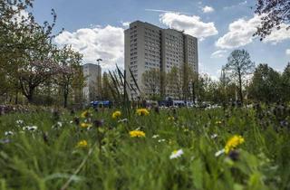 Wohnung mieten in Raoul-Wallenberg-Straße 40, 12679 Marzahn, 2-Zimmer-Wohnung in Marzahn zu vermieten