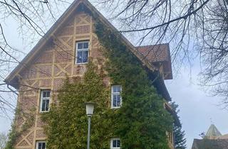 Wohnung mieten in Beyerplatz, 17217 Penzlin, Modernisierte Wohnung mit zwei Zimmern und EBK in Penzlin