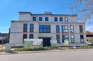 Wohnung mieten in Rudolf-Virchow-Str., 64569 Nauheim, Tolle Neubauwohnung in Nauheim zu vermieten - 2 ZKB - mit Aufzug - OG mitte