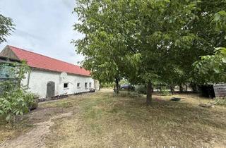 Bauernhaus kaufen in Glietzer Dorfstr. 34, 15913 Märkische Heide, Grundstück mit kleinem Bauernhaus auf dem Land in Märkische Heide