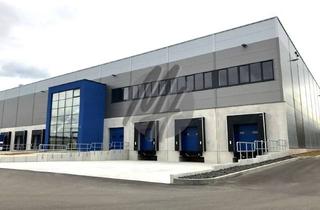Büro zu mieten in 30855 Langenhagen, SCHNELL VERFÜGBAR ✓ TOP-LAGE ✓ 24/7 ✓ Lager-/Logistik (6.500 m²) & Büro (400 m²)