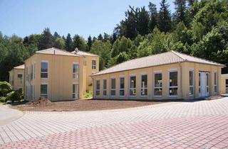 Büro zu mieten in Robert-Junk-Str., 66459 Kirkel, Bürohalle (Großraumbüro)