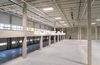 Gewerbeimmobilie mieten in 32278 Kirchlengern, Logistikhalle mit über 20 Rampen + ebenerdiger Andienung / ab sofort