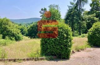 Grundstück zu kaufen in 67316 Carlsberg, Baulücke in angenehmer Ortsrandlage