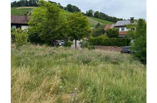 Grundstück zu kaufen in 71717 Beilstein, Großer und schöner Bauplatz mit Blick auf die Weinberge