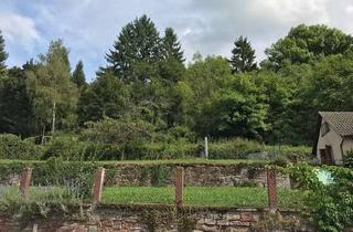 Grundstück zu kaufen in 97877 Wertheim, Südhang Baugrundstück in 97877 Wertheim am Main