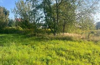 Grundstück zu kaufen in 16356 Werneuchen, Baugrundstück 1101m² in Werneuchen